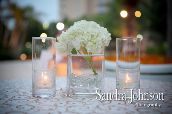 Best Ritz Carlton wedding photographer - Sandra Johnson (SJFoto.com)